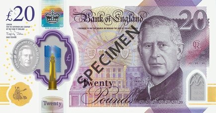 Auction: 20 Pounds Polymer